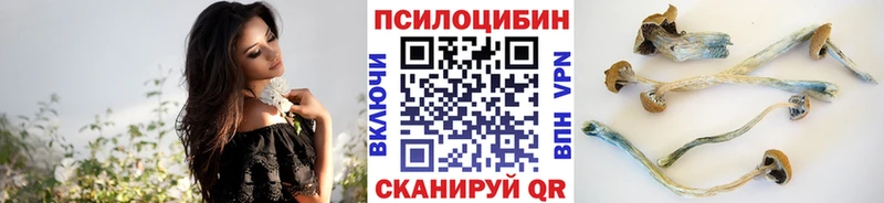 купить наркотик Камень-на-Оби МЕГА ONION darknet состав Псилоцибиновые грибы мицелий