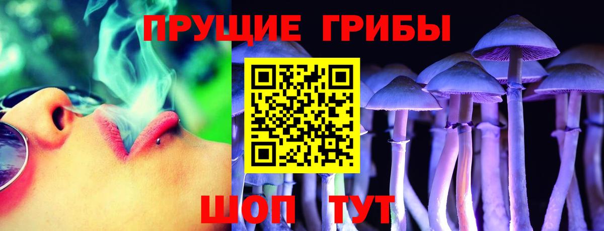 Галлюциногенные грибы ЛСД  Вход с VPN  Галлюциногенные грибы Psilocybine cubensis  Камень-на-Оби 